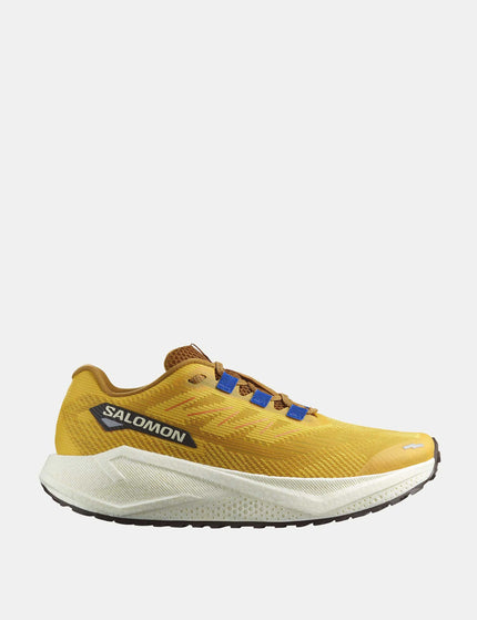 Salomon "Aero Blaze 3 Grvl - Spicy Mustard/VanillaIce/Nautical Blue"image1- The Sports Edit